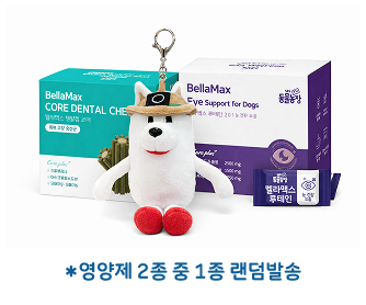 덴탈껌, 루테인 영양제/키링